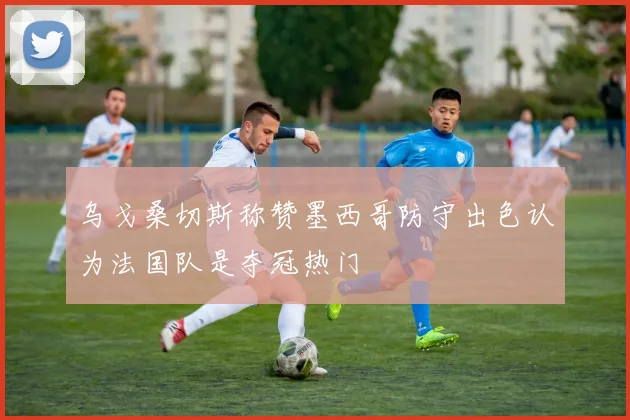 乌戈桑切斯称赞墨西哥防守出色认为法国队是夺冠热门