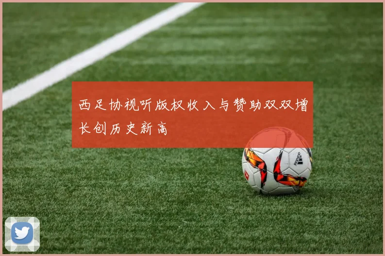 西足协视听版权收入与赞助双双增长创历史新高